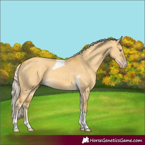 Horse Color:Silver Sable Cream Champagne Dun Tobiano Rabicano 