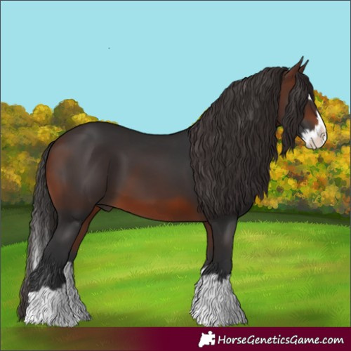 Horse Color:Brown Splash