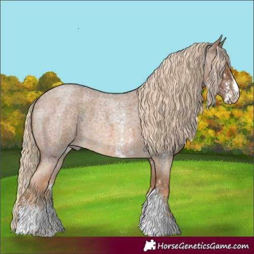 Horse Color:Chocolate Palomino Roan Sabino