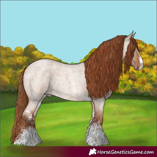 Horse Color:Red Dun Roan Sabino 