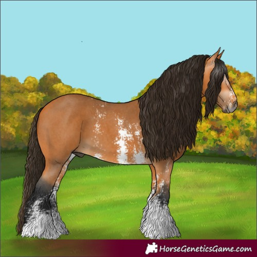 Horse Color:Gray Buckskin Sabino 