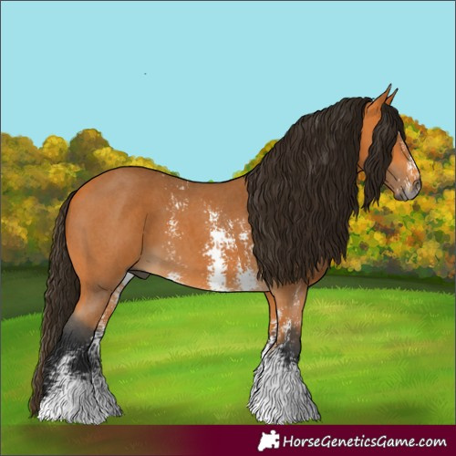 Horse Color:Gray Buckskin Sabino