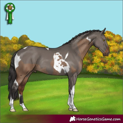 Horse Color:Liver Red Dun Tobiano Rabicano and Smoky Grullo Tobiano Rabicano