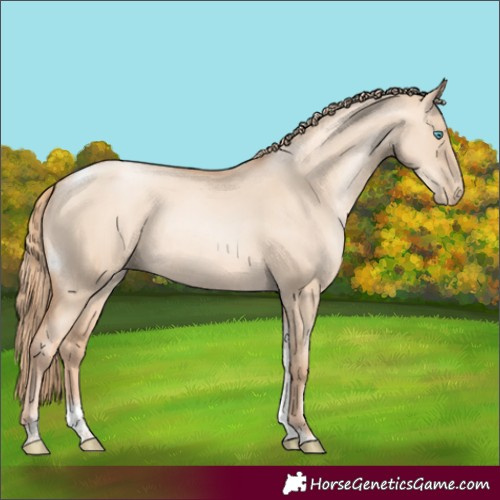 Horse Color:Gold Champagne Pearl Dun Tobiano Rabicano