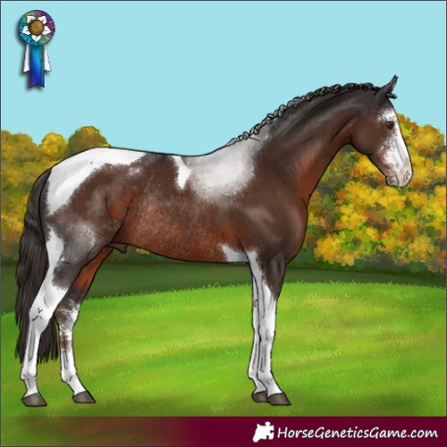 Horse Color:Liver Chestnut Sabino Tobiano Rabicano
