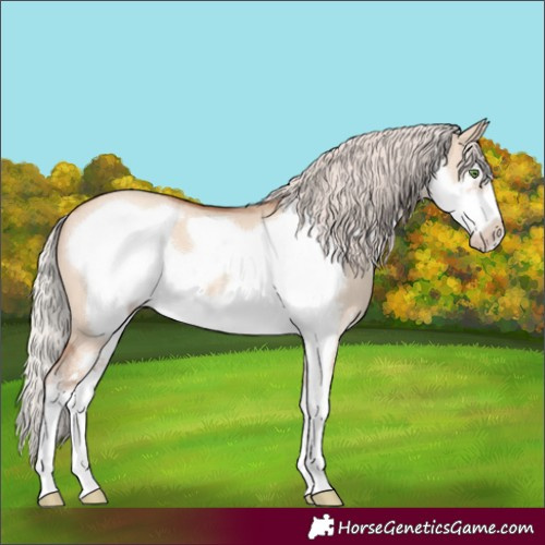 Horse Color:Silver Classic Champagne Dun Sabino Frame