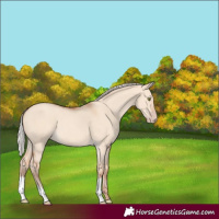 Horse Color:Silver Sable Champagne Dun 