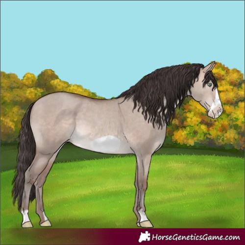 Horse Color:Sable Champagne Dun Mushroom Frame