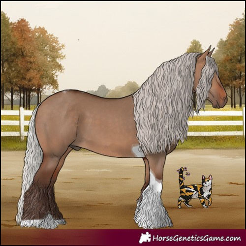 Horse Color:Silver Brown Dun Tobiano