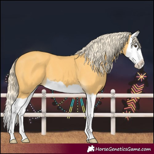 Horse Color:Palomino Splash