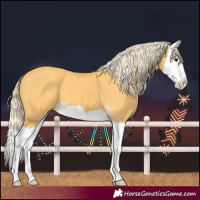 Horse Color:Palomino Splash