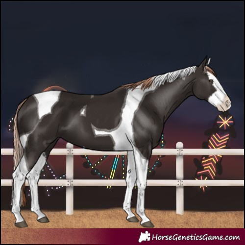Horse Color:Liver Chestnut Splash Tobiano