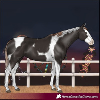 Horse Color:Liver Chestnut Splash Tobiano