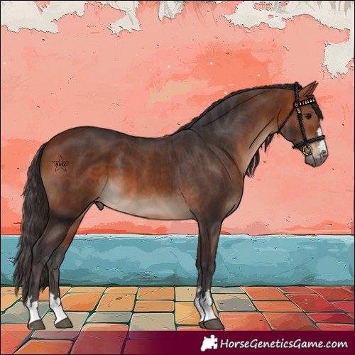 Horse Color:Bay and Bay