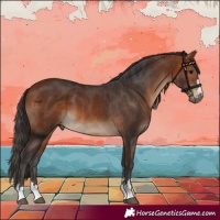 Horse Color:Bay  and Bay 