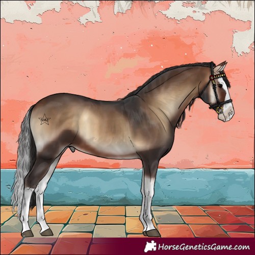 Horse Color:Bay Onyx Splash 