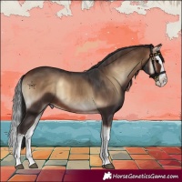 Horse Color:Bay Onyx Splash
