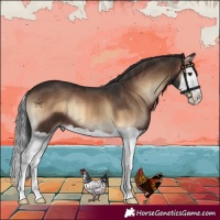 Horse Color:Liver Red Onyx Splash