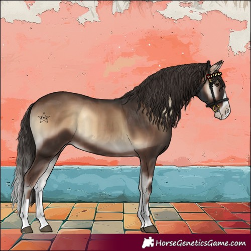 Horse Color:Liver Red Onyx Splash 