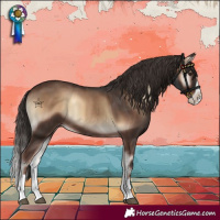 Horse Color:Liver Red Onyx Splash 