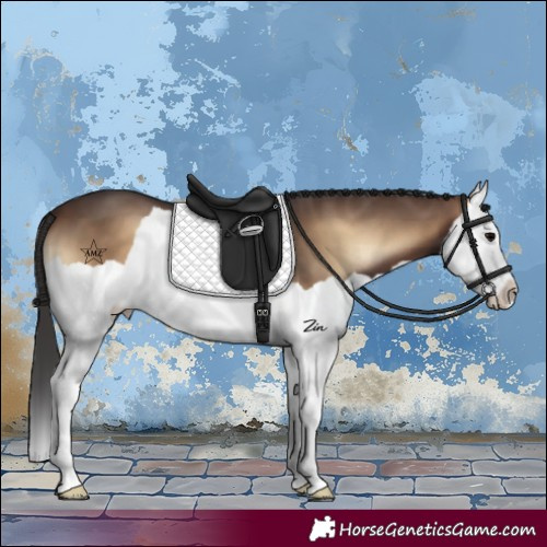 Horse Color:Brown Onyx Splash 