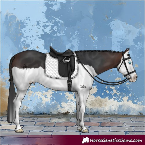 Horse Color:Brown Splash 