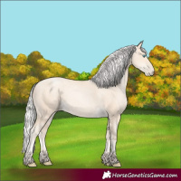 Horse Color:Silver Sable Cream Champagne Pearl