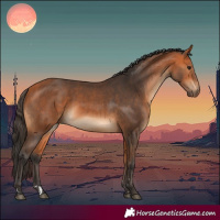 Horse Color:Bay and Bay