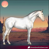 Horse Color:Gold Champagne Roan Dun Splash Tobiano Frame Appaloosa Rabicano
