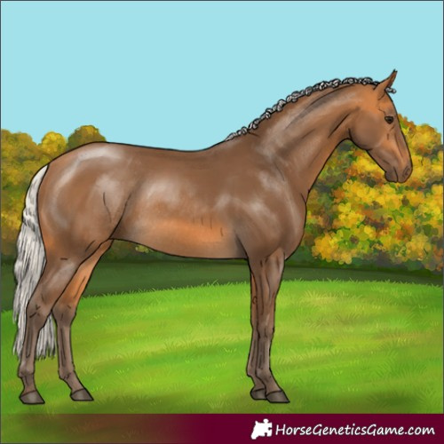 Horse Color:Silver Buckskin Rabicano