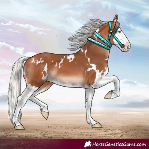 Horse Color:White Spotted Silver Bay Mushroom Splash 