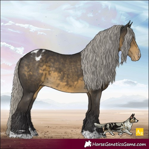 Horse Color:Silver Smoky Black Appaloosa 