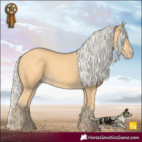 Horse Color:Silver Amber Cream Champagne Rabicano 