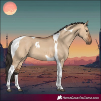 Horse Color:Bay Dun Tobiano 
