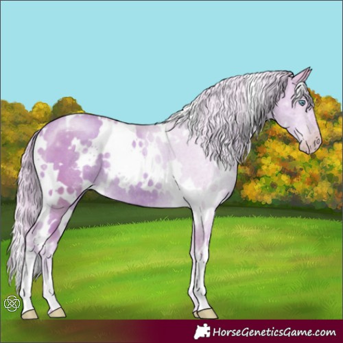 Horse Color:Watercolor White Spotted Gold Cream Champagne Rabicano