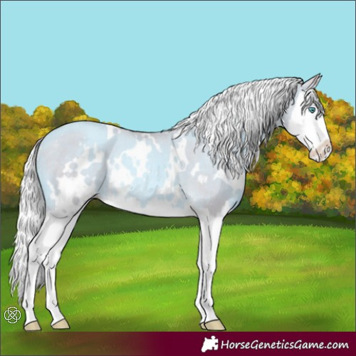 Horse Color:Watercolor White Spotted Gold Cream Champagne Splash Rabicano