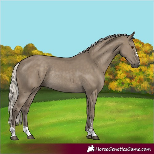 Horse Color:Silver Smoky Grullo Rabicano 