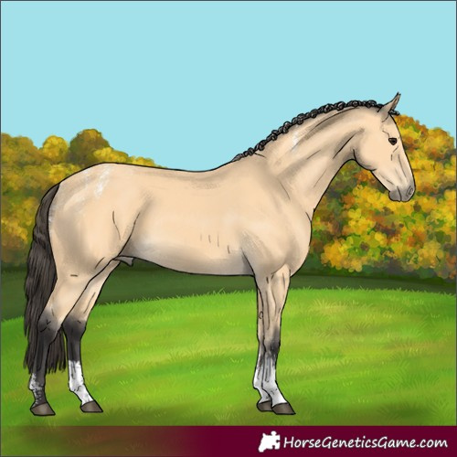 Horse Color:Powder White Buckskin Sabino 