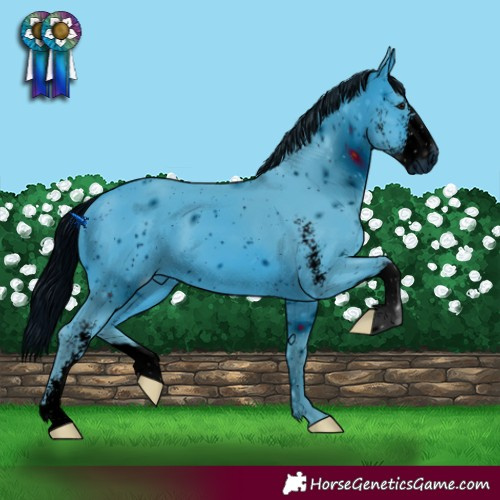 Horse Color:ERROR: UNKNOWN ANOMALY