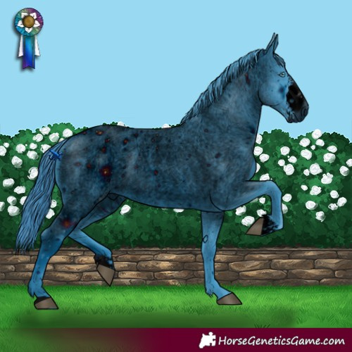 Horse Color:ERROR: UNKNOWN ANOMALY