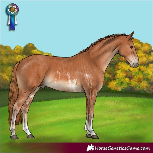Horse Color:Chestnut Sabino  and Chestnut Sabino 