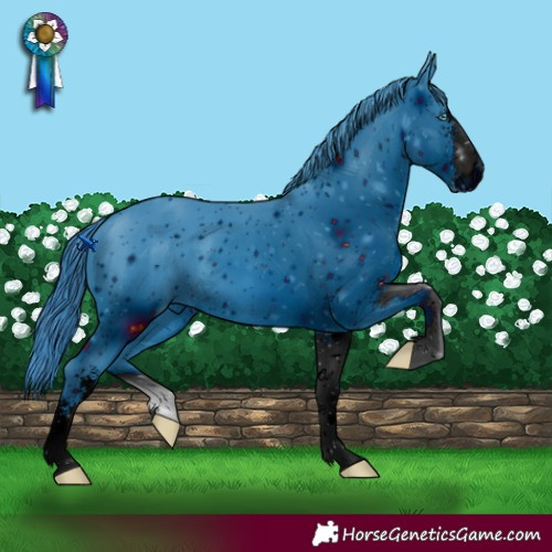 Horse Color:ERROR: UNKNOWN ANOMALY