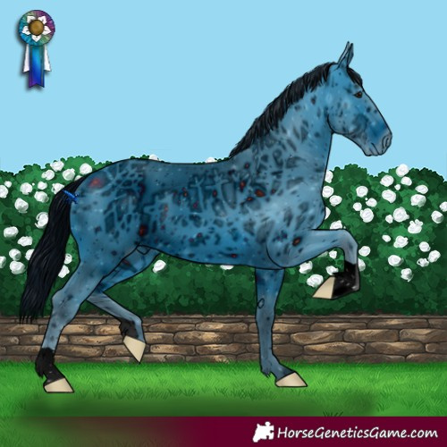 Horse Color:ERROR: UNKNOWN ANOMALY