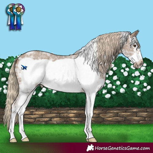 Horse Color:Chocolate Palomino Ice Sabino Frame