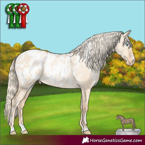 Horse Color:White Spotted Palomino Pearl Dun Appaloosa Rabicano 