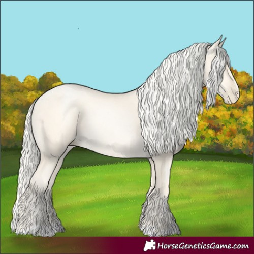 Horse Color:Gold Cream Champagne Pearl 