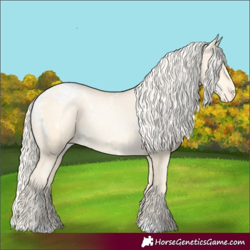 Horse Color:White Spotted Gold Cream Champagne Pearl Varnish