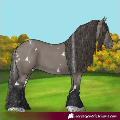 Horse Color:White Spotted Grullo Varnish 