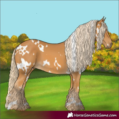 Horse Color:White Spotted Palomino