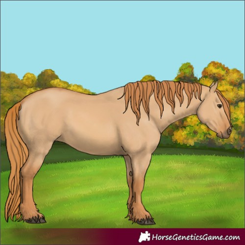 Horse Color:Red Dun